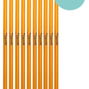 Slalomstok met pin 160cm (set 10 stuks)